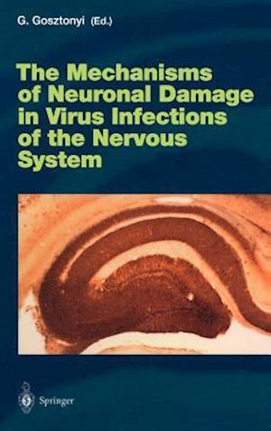 The Mechanisms of Neuronal Damage in Virus Infections of the Nervous System