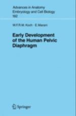 Early Development of the Human Pelvic Diaphragm