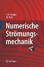 Numerische Strömungsmechanik