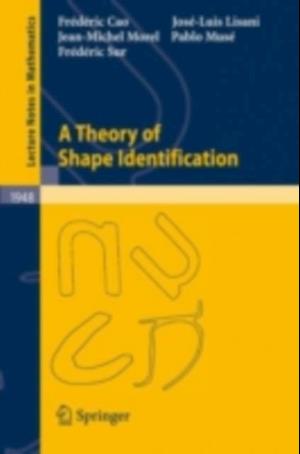 Theory of Shape Identification