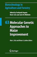 Molecular Genetic Approaches to Maize Improvement