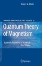 Quantum Theory of Magnetism