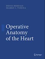 Operative Anatomy of the Heart