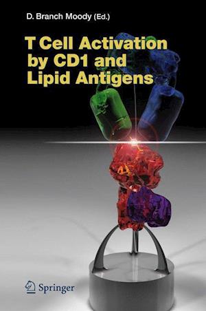 T Cell Activation by CD1 and Lipid Antigens