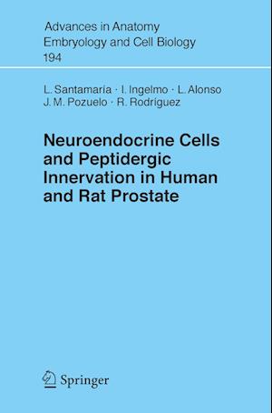 Neuroendocrine Cells and Peptidergic Innervation in Human and Rat Prostrate