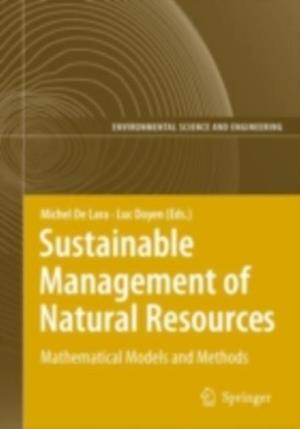 Information Technologies in Environmental Engineering