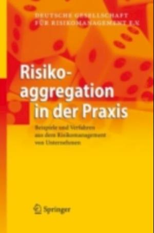 Risikoaggregation in der Praxis