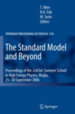 Standard Model and Beyond