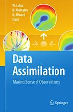 Data Assimilation