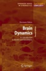 Brain Dynamics