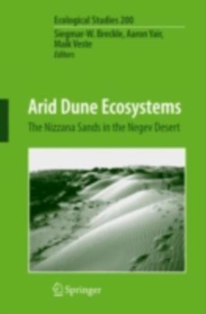 Arid Dune Ecosystems