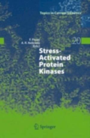 Stress-Activated Protein Kinases
