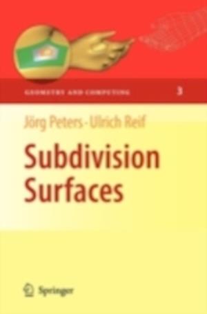 Subdivision Surfaces