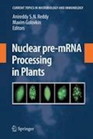 Nuclear pre-mRNA Processing in Plants
