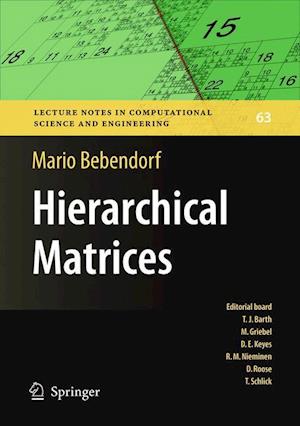 Hierarchical Matrices