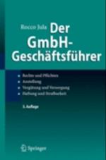 Der GmbH-Geschäftsführer