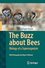 The Buzz about Bees