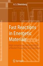 Fast Reactions in Energetic Materials