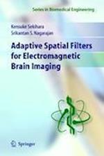 Adaptive Spatial Filters for Electromagnetic Brain Imaging