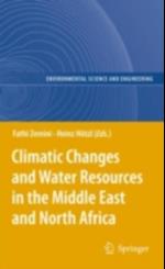 Climatic Changes and Water Resources in the Middle East and North Africa