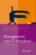 Management von IT-Projekten