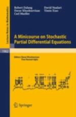 Minicourse on Stochastic Partial Differential Equations