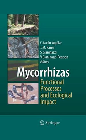 Mycorrhizas - Functional Processes and Ecological Impact