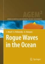 Rogue Waves in the Ocean