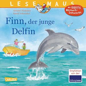 Finn, der junge Delfin