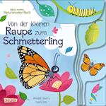 Von der kleinen Raupe zum Schmetterling