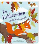 Das Eichhörnchen entdeckt den Herbst