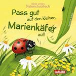 Pass gut auf den kleinen Marienkäfer auf