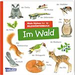 Mein kleines buntes Bildwörterbuch: Im Wald