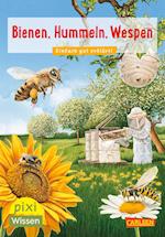 VE 5: Bienen, Hummeln, Wespen