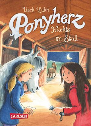 Ponyherz 06: Nachts im Stall