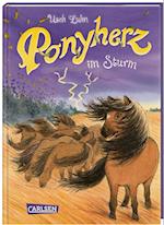Ponyherz 14: Ponyherz im Sturm