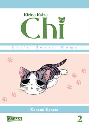 Kleine Katze Chi 02