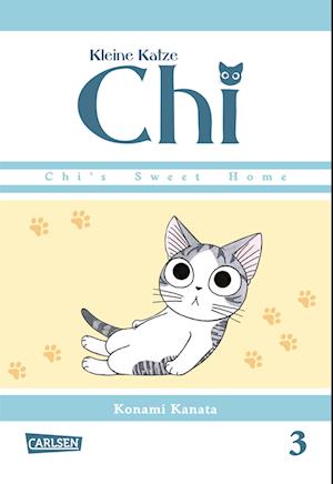 Kleine Katze Chi 03