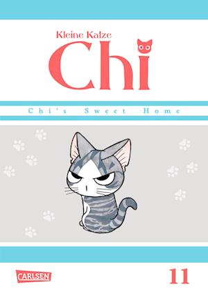 Kleine Katze Chi 11