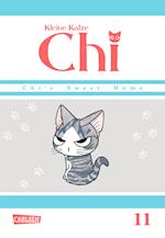 Kleine Katze Chi 11