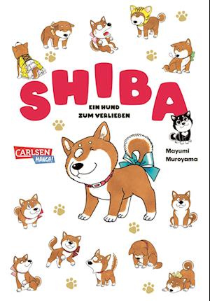 Shiba - Ein Hund zum Verlieben