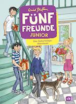 Fünf Freunde JUNIOR - Das Geburtstags-Abenteuer