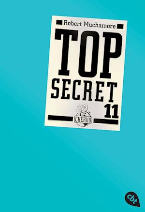 Top Secret 11. Die Rache