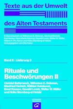 Rituale und Beschwörungen II