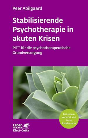 Stabilisierende Psychotherapie in akuten Krisen (Leben Lernen, Bd. 254)