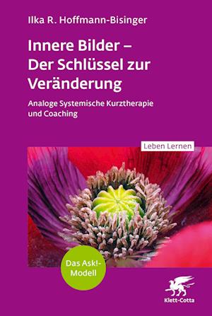 Innere Bilder - Der Schlüssel zur Veränderung (Leben Lernen, Bd. 343)