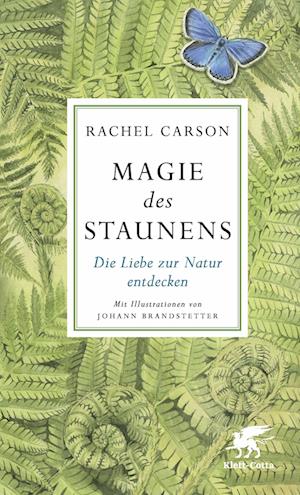 Magie des Staunens