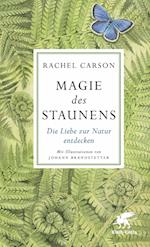 Magie des Staunens