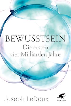 Bewusstsein