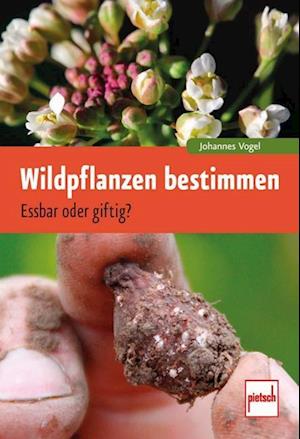 Wildpflanzen bestimmen